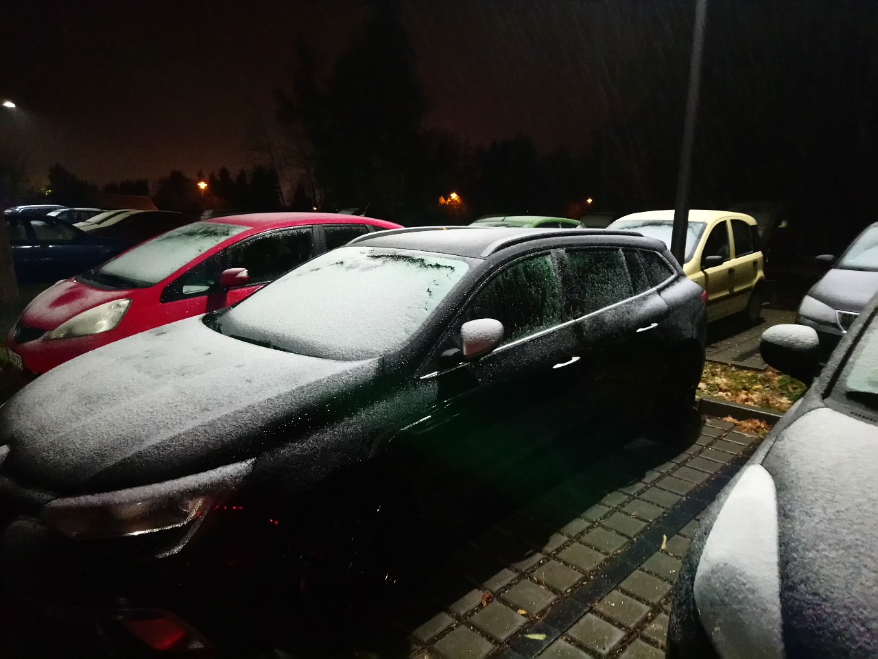 Die ersten Schneeflocken